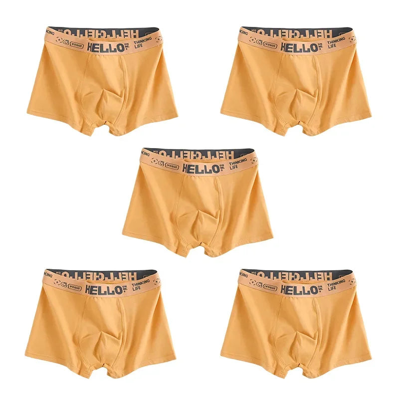 Quick-Dry Boxer Trunks - Stretchy Multi-Pack