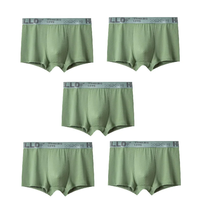 Quick-Dry Boxer Trunks - Stretchy Multi-Pack